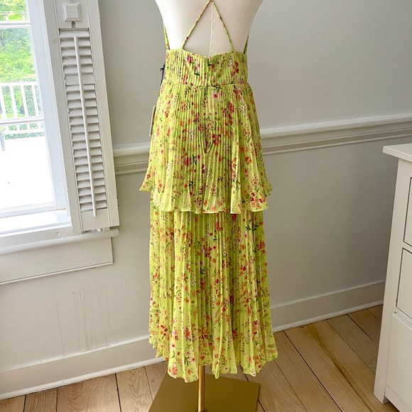Amur's NWT Nico floral pleated tiered midi dress - Picture 6 of 11